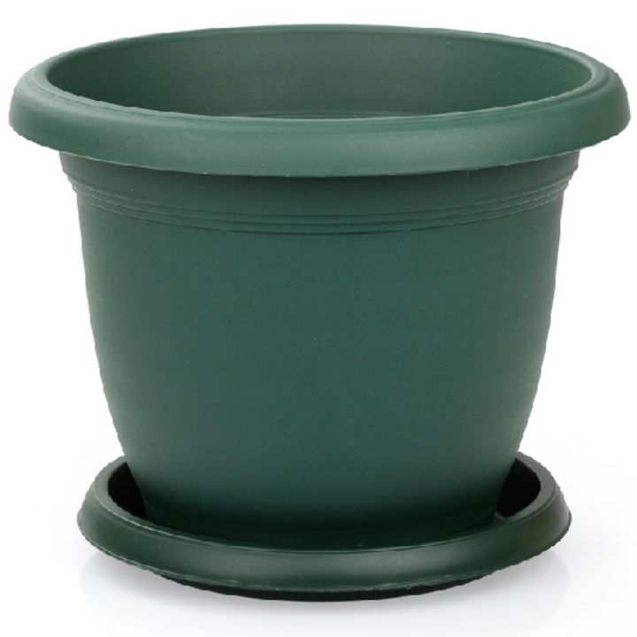 serinova-v512-19088-mtsenaris-qotani