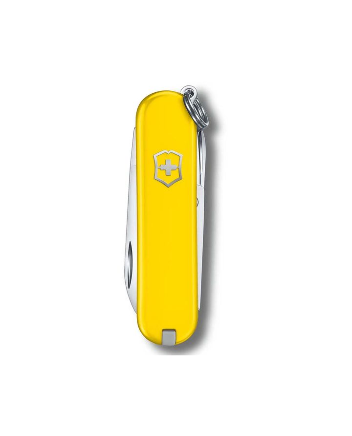 victorinox-dana-classic-sd-photo-2