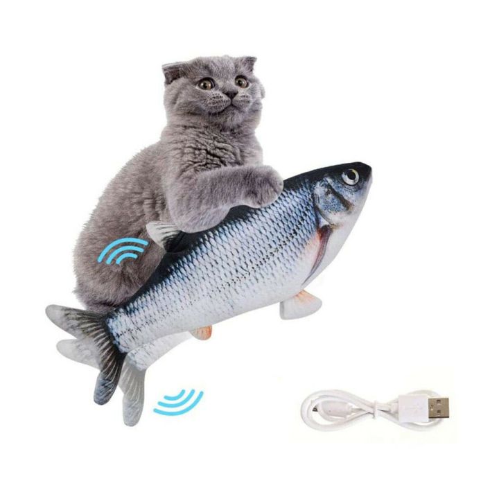 katis-satamasho-tevzi-photo-3