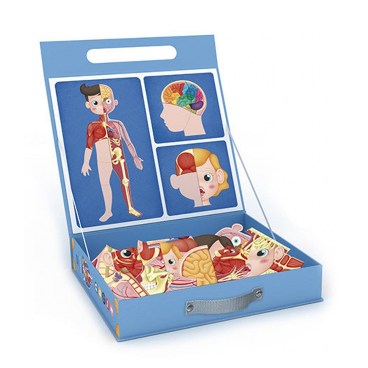 eureka-kids-human-body-konstruqtori-photo-3