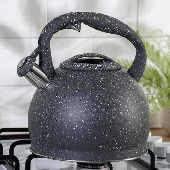 besinhoff-kettle-gh0612-chaidani-photo-2
