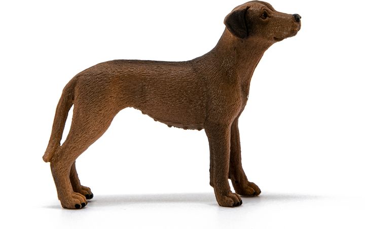 schleich-ridgeback-satamasho-figura-photo-3