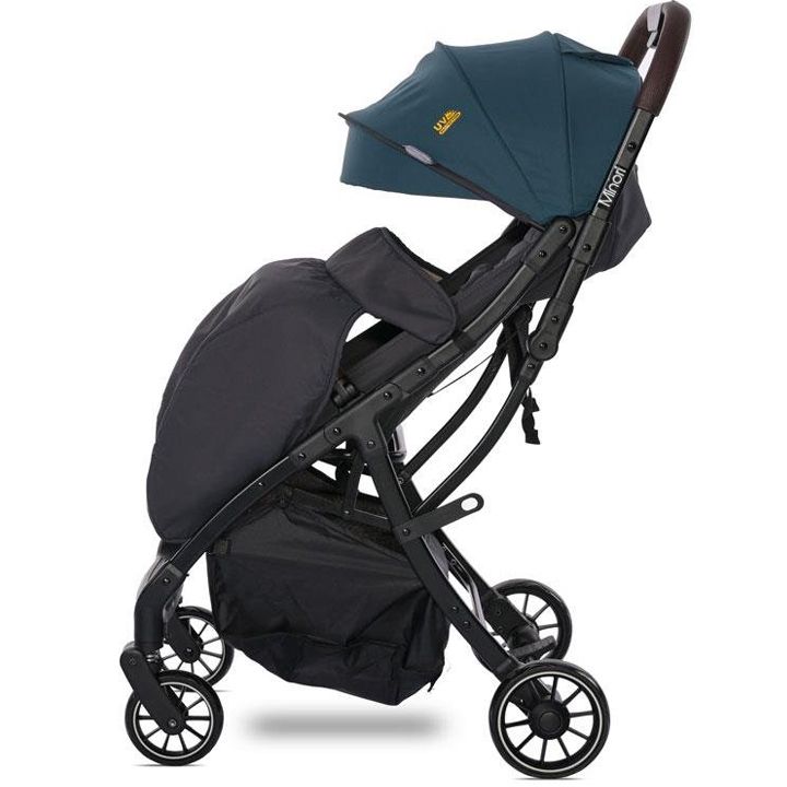 lorelli-minori-sabavshvo-etli-photo-3