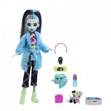 Product image of Mattel Monster High თოჯინა