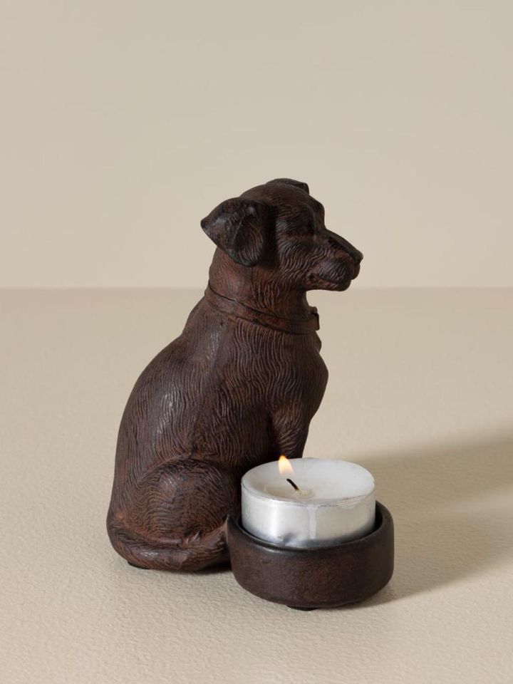 nisse-santlis-sadgami---inglisuri-dzaghli---9575115sm-chehoma