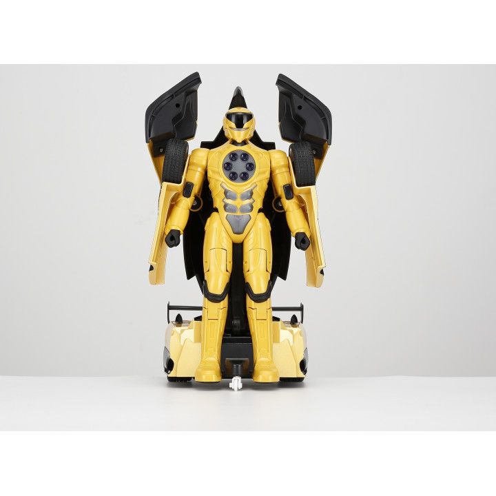 rastar---rastar---1-14-paganizonda-r-radiomartvadi-manqana-transformeri-photo-4