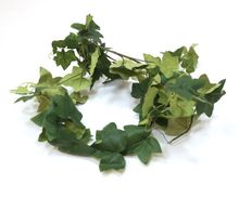 Product image of LABORATORY MY HOME ხელოვნური მცენარე