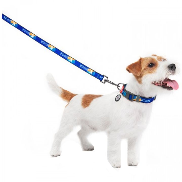 collar-dzaghlis-saqelo-photo-4