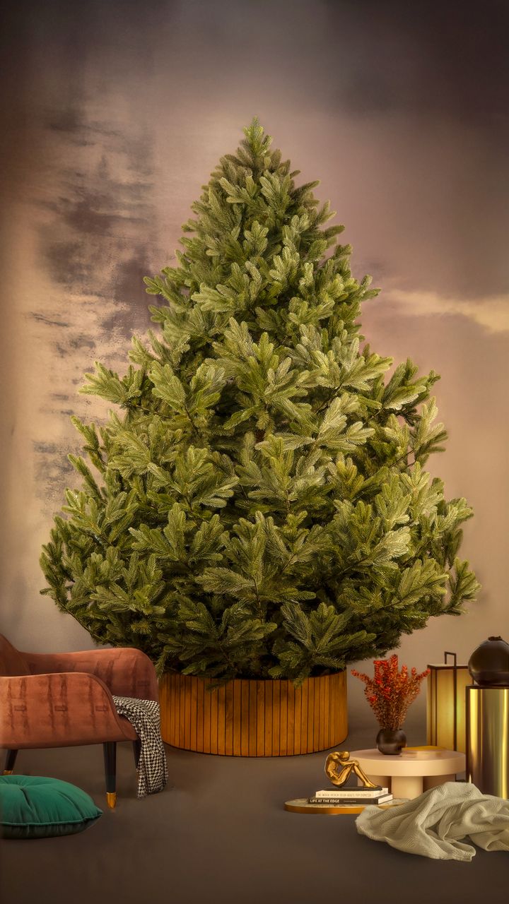 pungia-280sm---dizaineruli-nadzvis-khe-shako-da-ninosgan-photo-2