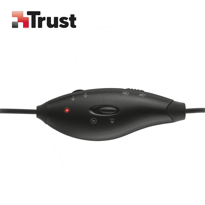 trust-mauro-kompiuteris-qursasmeni-photo-4