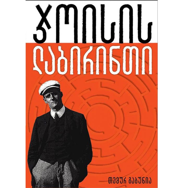 temur-gabunia---joisis-labirinti