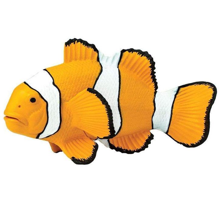 safari-clown-anemonefish-satamasho-figura