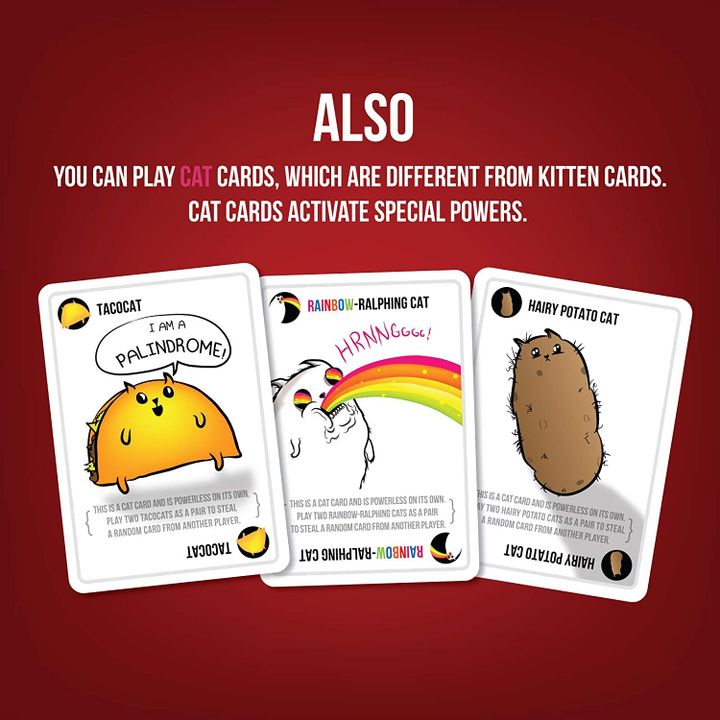 samagido-tamashi-exploding-kittens-photo-3