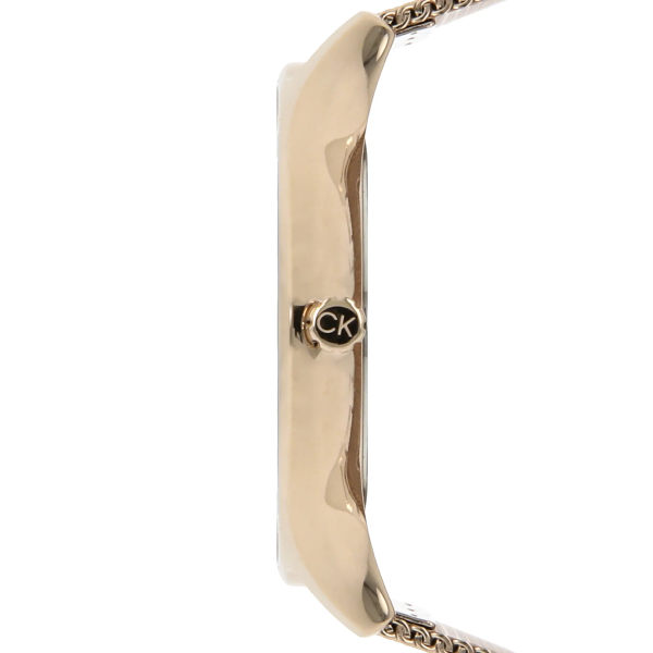 calvin-klein-ck10637-qalis-saati-photo-2