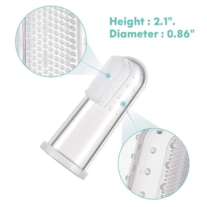 titis-kbilis-jagrisi-photo-2