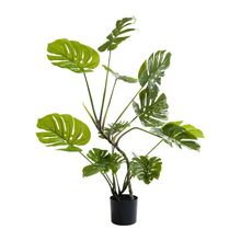 Product image of KARE ხელოვნური მცენარე