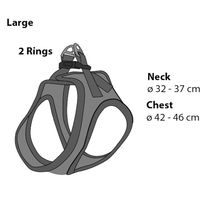 flamingo-dzaghlis-sabeli-photo-3