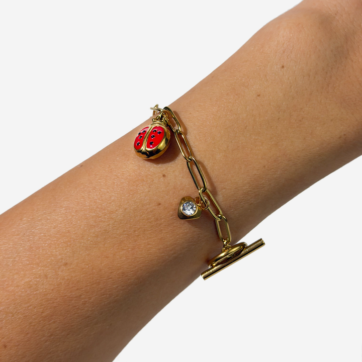 her-store-titanis-mooqrovili-samajuri-photo-2