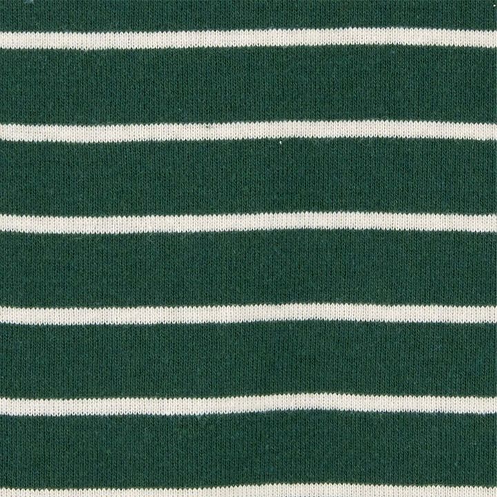 carters-grdzelmklaviani-bodeebis-nakrebi-photo-3