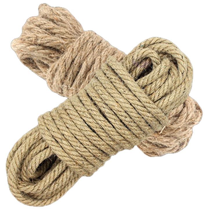 kiku-shibaris-toki-photo-2