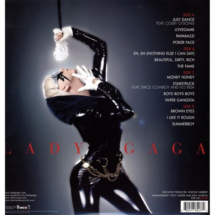 lady-gaga-the-fame-2lp-vinyl-photo-2