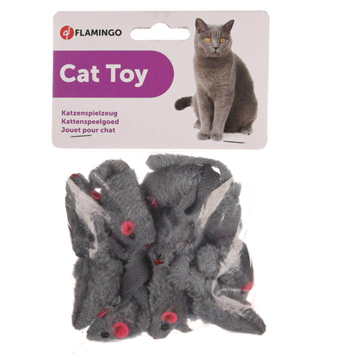 flagino-ct-shorthaired-mouse-katis-satamasho-photo-2