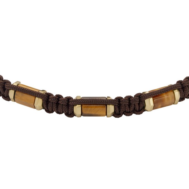 fossil-jf04471710-mamakatsis-samajuri-photo-2