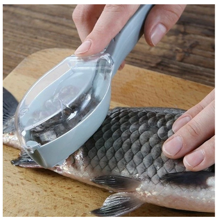 tevzis-safkheki-photo-2