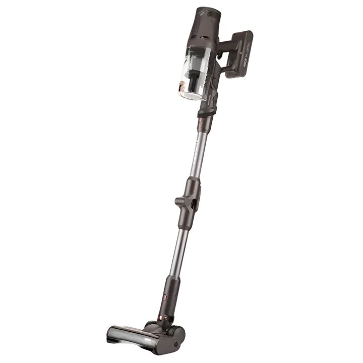 eta524790000-terier-khelis-mtversasruti