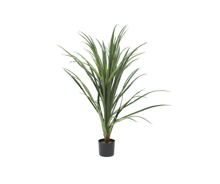 laboratory-my-home-khelovnuri-mtsenare