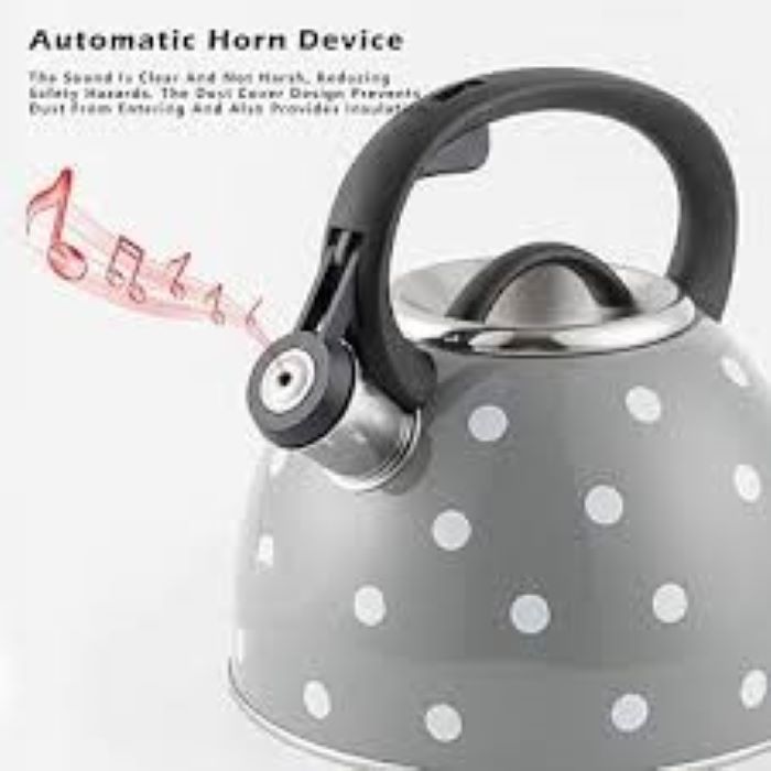 besinhoff-kettle-bh-3002-chaidani-photo-2