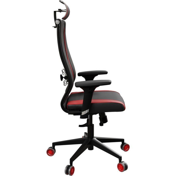 ergolife-synchrosit-10-b2-170d-geimeruli-savardzeli-photo-2