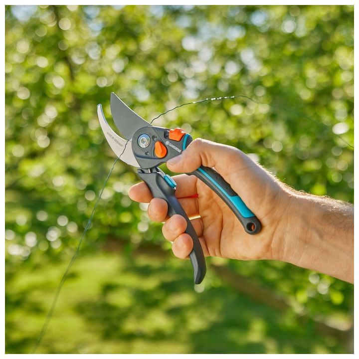 gardena-sekatori-regulirebadi-pirit-photo-4