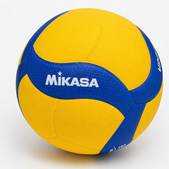 mikasa-frenburtis-burti