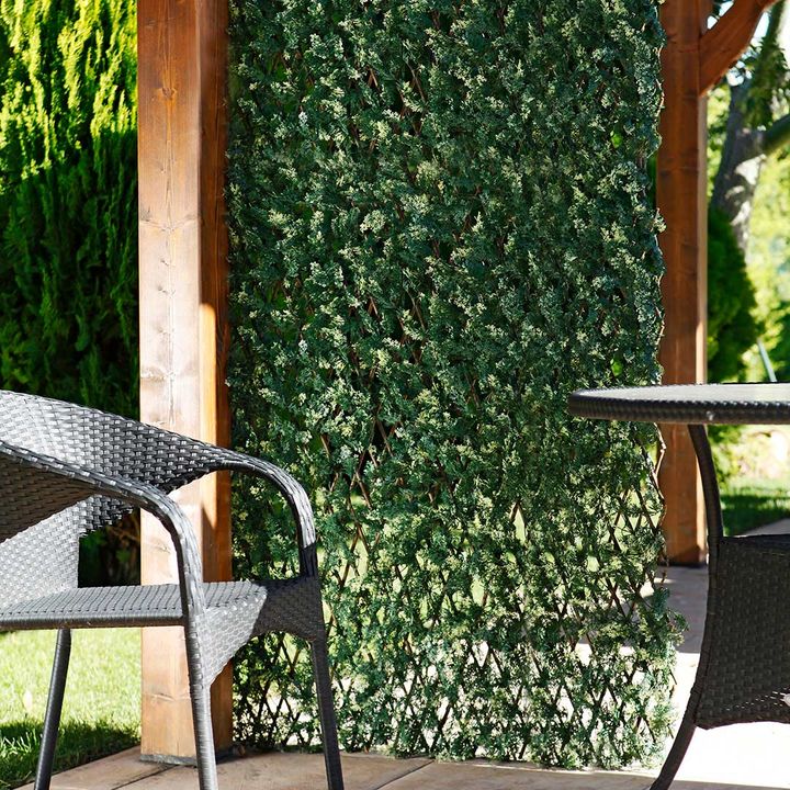 kviparosis-dekoratiuli-gisosi-photo-2