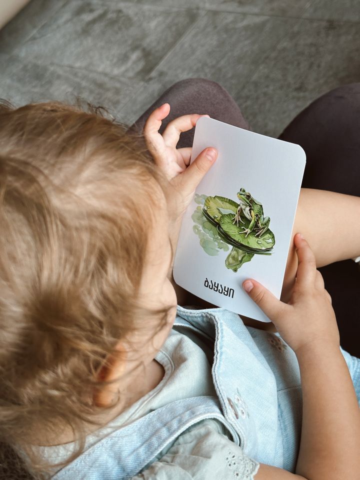 tsqlis-binadrebi---metqvelebis-baratebi-photo-3