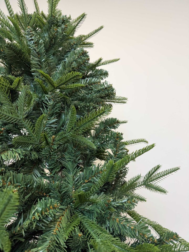 ctrim-nadzvis-khe-shereuli-tsitsvebit-photo-3