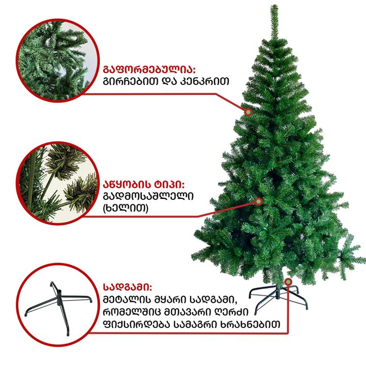 ohoho-nadzvis-khe-vashingtoni-300sm-photo-2