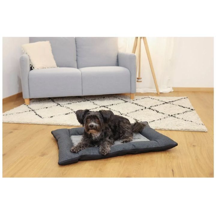 kerbl-dzaghlis-satsoli-photo-3