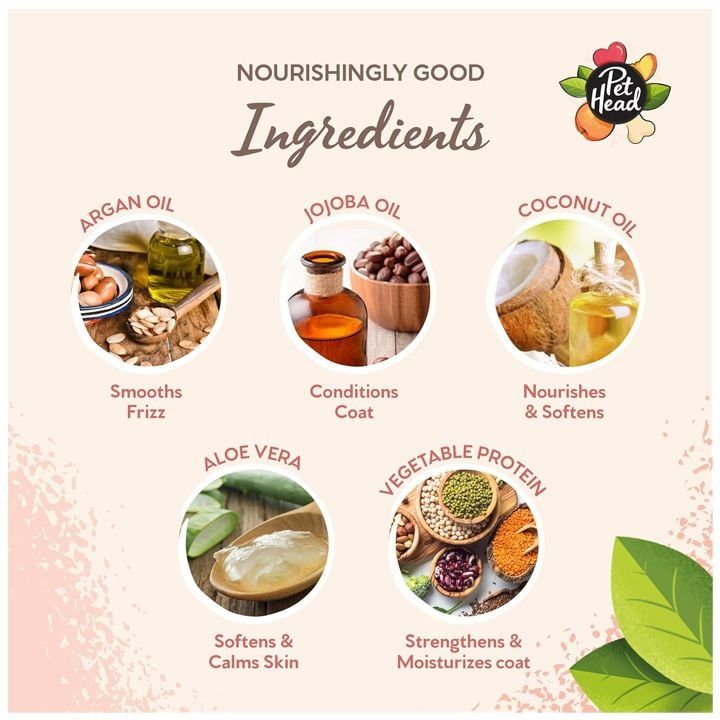 pet-head-quick-fix-satsmendi-qafi-dzaghlebistvis-photo-4