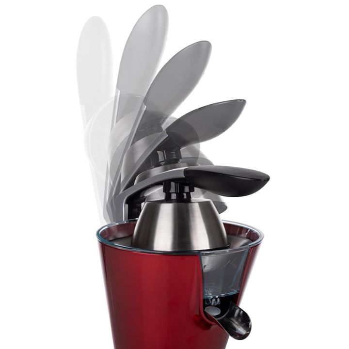 princess-tsitrusis-tsvensatsuri-photo-4