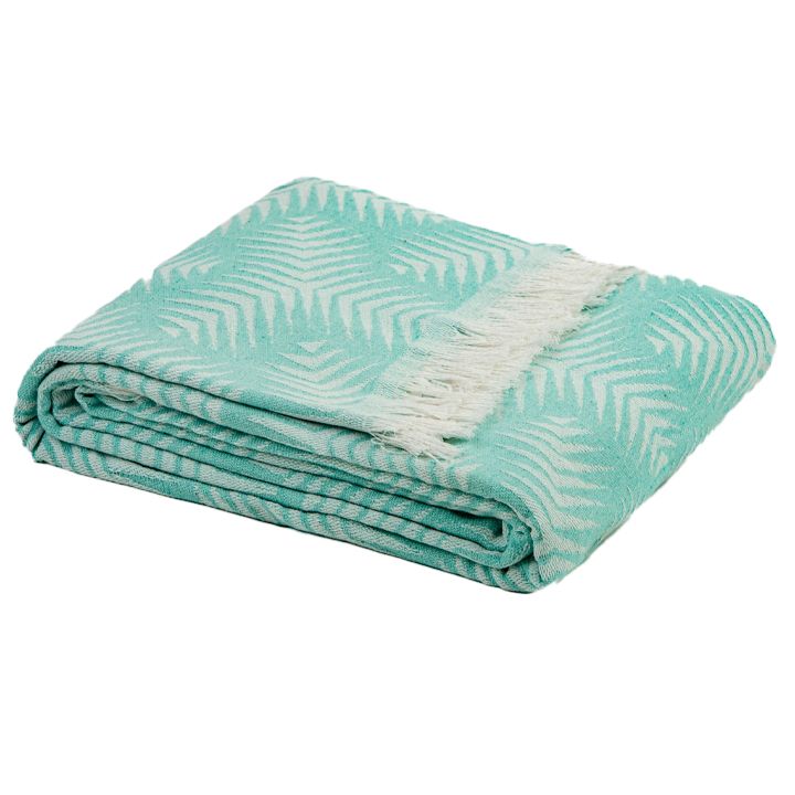 manamo-dasia-gadasafarebeli