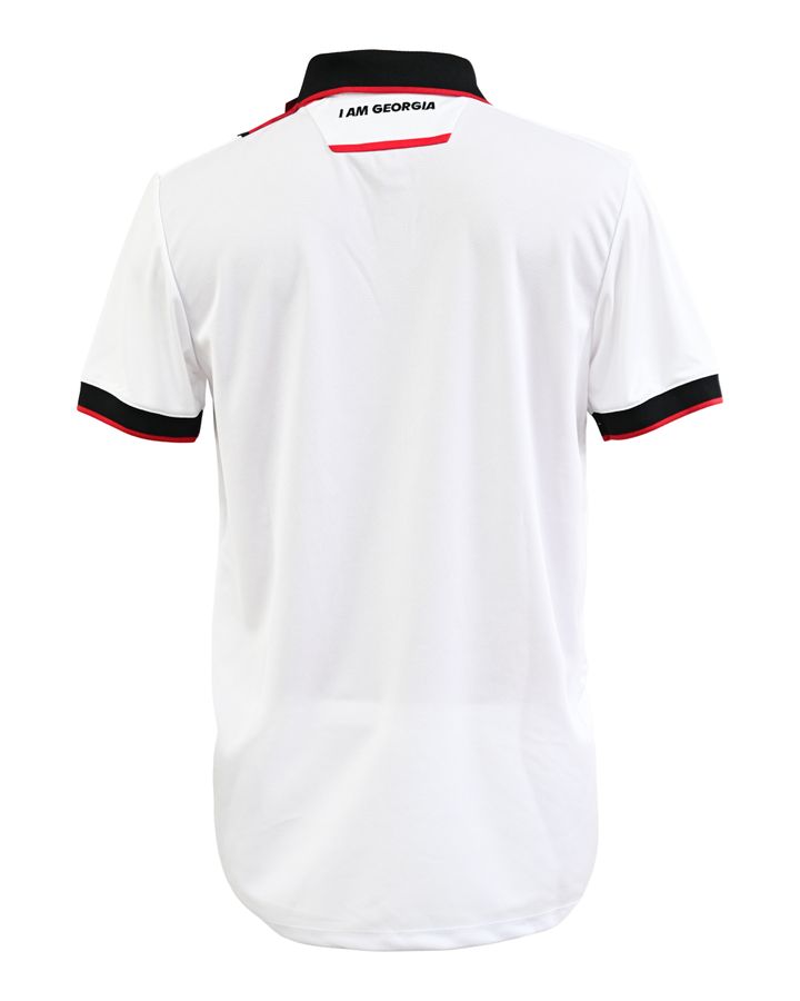 erovnuli-nakrebis-maisuri-2025-tetri-replika-photo-2