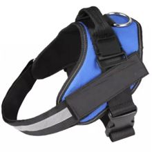 Product image of ძაღლის საბელი (M)