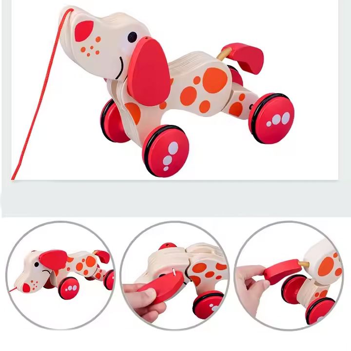 pulling-dog-khis-satamasho-dzaghli-photo-2