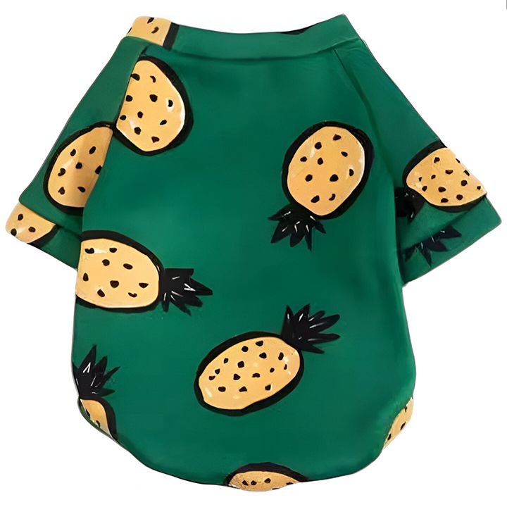 petsup-tskhovelis-tansatsmeli