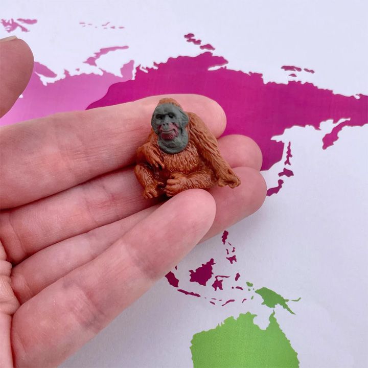 safari-fun-pack-exotic-satamasho-figurebi-photo-3