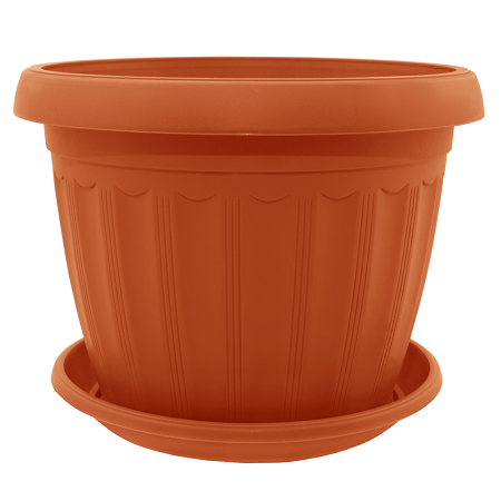 aleana-terra-plastmasis-qotani