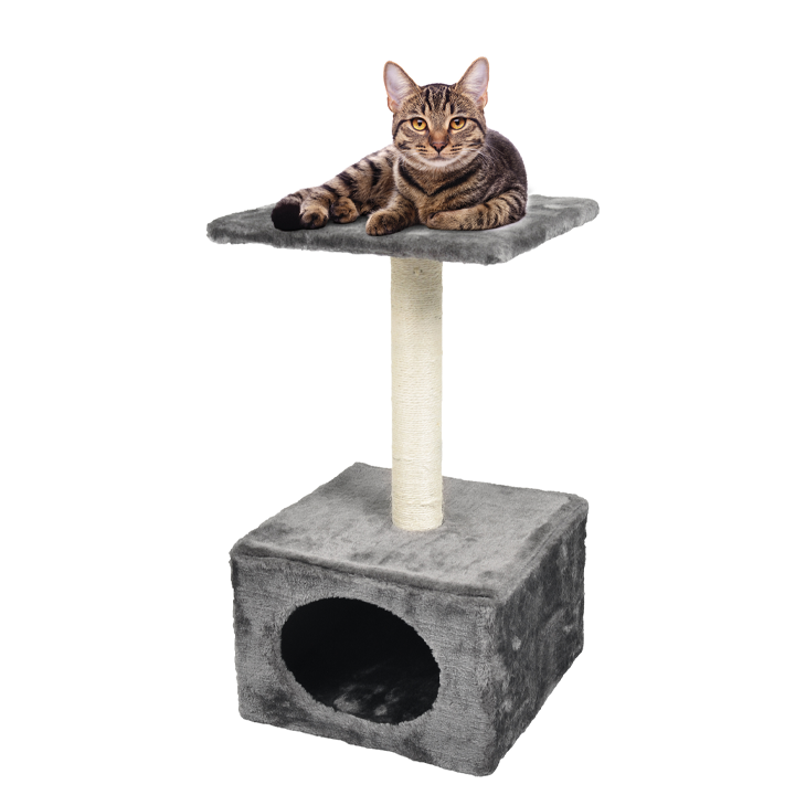 flamingo-katis-safkhachni-photo-2