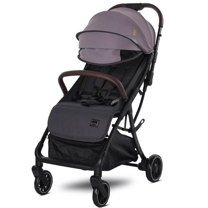 lorelli-minori-sabavshvo-etli